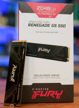 Kingston/金士顿 FURY Renegade G5 固态硬盘SSD Gen5 1/2/4/T/TB