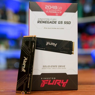 Kingston/金士顿 FURY Renegade G5 固态硬盘SSD Gen5 1/2/4/T/TB