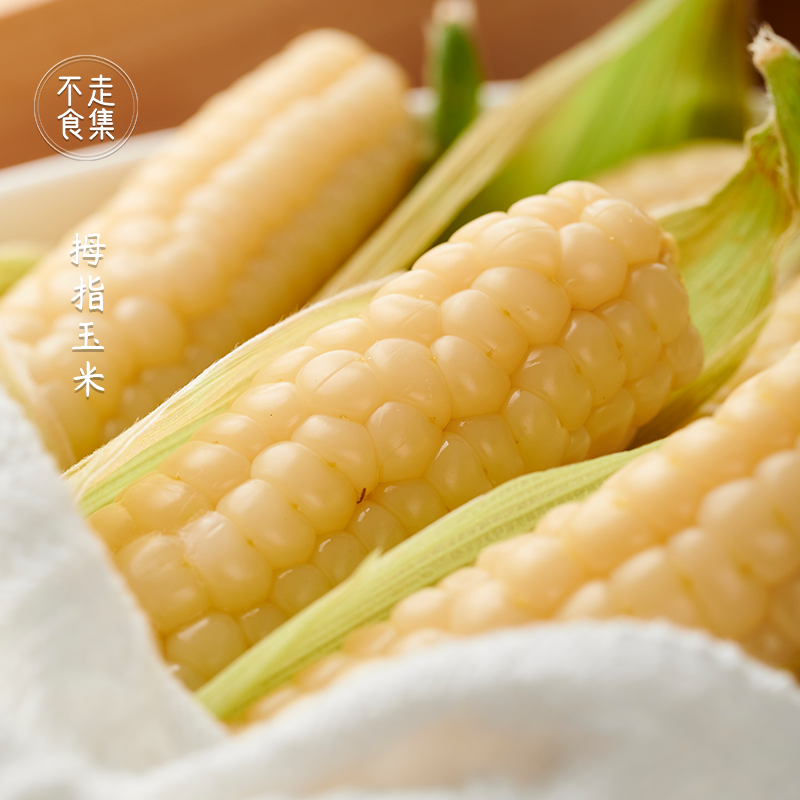 不走食集 拇指玉米西双版纳真空装包装袋去皮早餐手指新鲜糯玉米