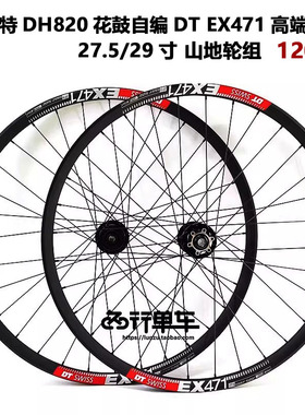 法斯特DH820花鼓自编DT471车圈自行车 自编 山地轮组 准真空120响