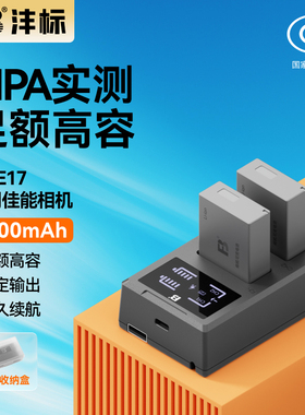 沣标LP-E17相机电池110适用佳能R50 R8  m6mark2 R10 RP 200D二代 750D 760D 800D 850D M5 M6充电器套装