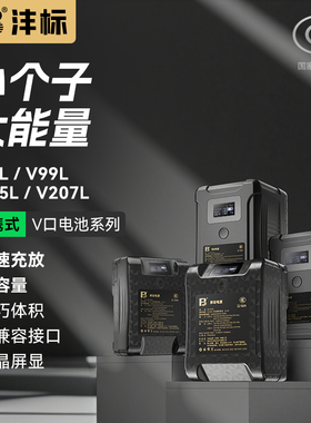 沣标BP150W摄像机电池适用索尼BP190W大容量BMCC外挂电池BP-130Ｗ监视器V口V型卡扣摄影机电池充电器套装290W