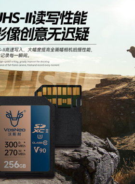 沣标沃斯耐sd卡32G存储卡128G相机通用SD内存卡64g佳能富士尼康相机专用512G闪存卡256GB高速SDXC/SDHC