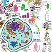 100张Biology Sticker生物学知识点学习贴纸卡通创意装 饰防水贴画