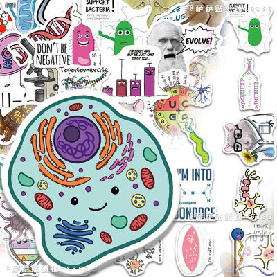 100张Biology Sticker生物学知识点学习贴纸卡通创意装饰防水贴画