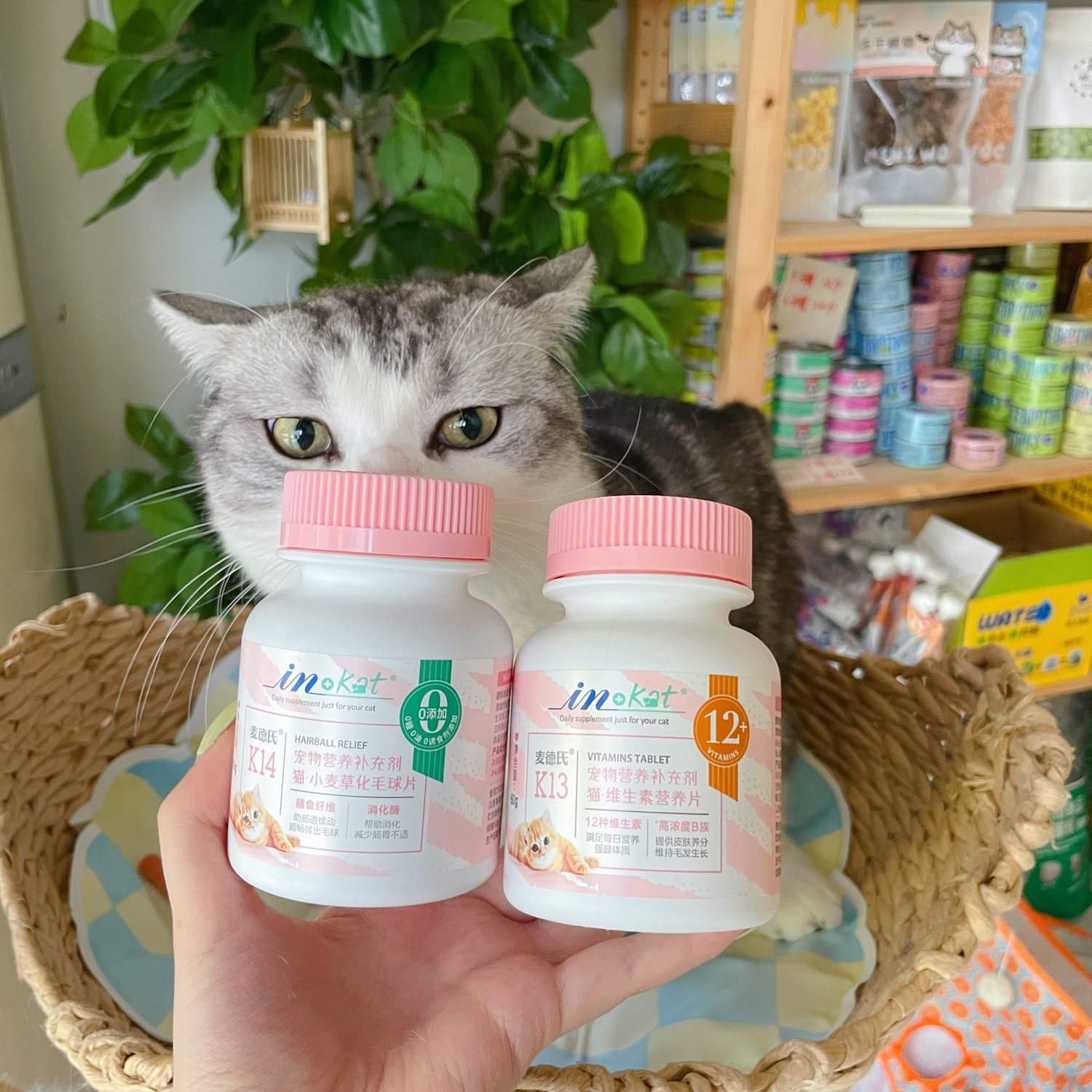 【实体店正品】麦德氏猫咪复合维生素片宠物营养品（120片）,宠物/宠物食品及用品,狗营养膏,淘宝优惠券,粉丝福利购,淘宝优惠卷