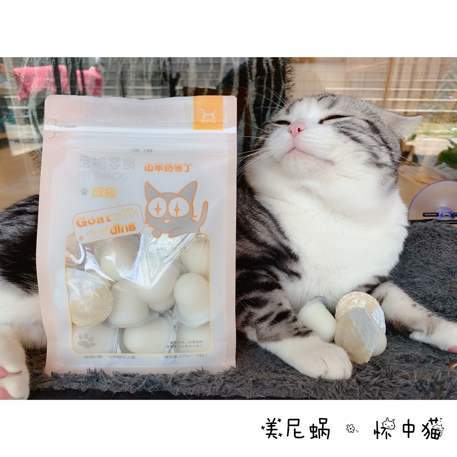 【美尼蜗】韩国both山羊奶果冻布丁宠物零食成猫幼猫通用猫咪食品