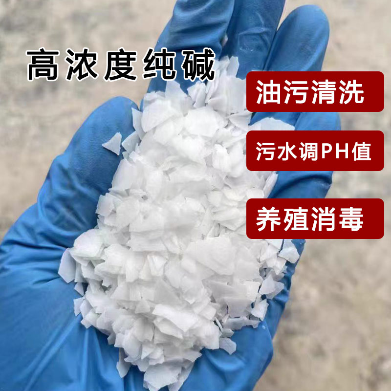 高浓度纯碱99去油污水PH调节