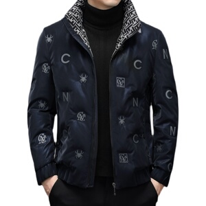 YR1678-P270 2025冬季新款男士时尚潮流羽绒服外套男装精品工艺图片