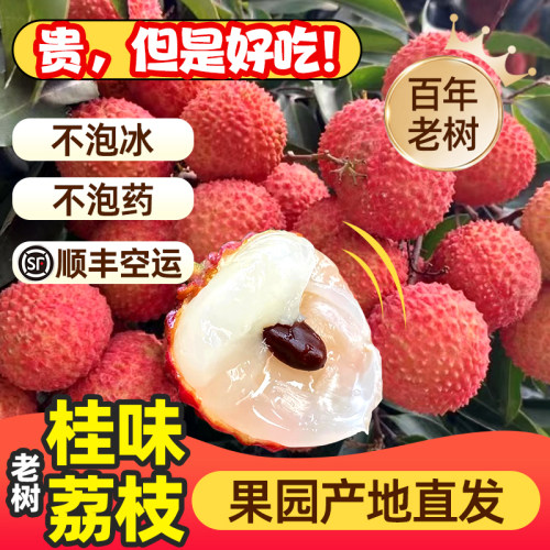 高州深山老树当季现摘现发桂味