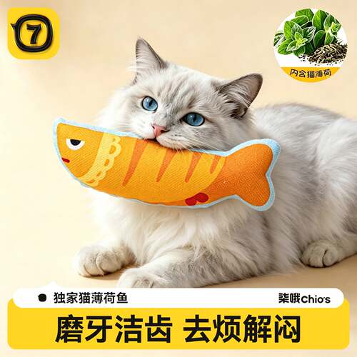 柒哦猫咪薄荷毛绒发声鱼玩具解闷