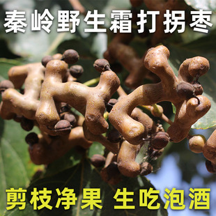 野生拐枣陕西西安秦岭新鲜煲汤泡酒煮水半干万寿果鸡爪梨干金钩子