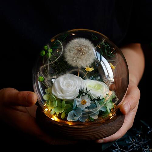 迷朵永生花玻璃罩真花发光礼物