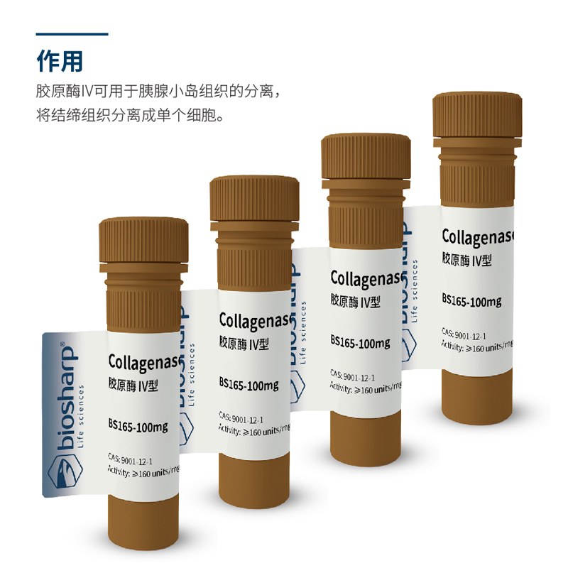 biosharp胶原酶IV型现货包邮