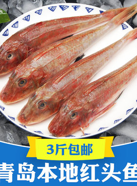 青岛新鲜红娘鱼3斤红绣鞋红鱼