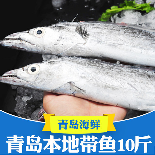 整箱10斤12条青岛特大小眼带鱼