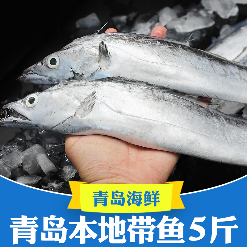 净重5斤新货国产青岛小眼油带鱼
