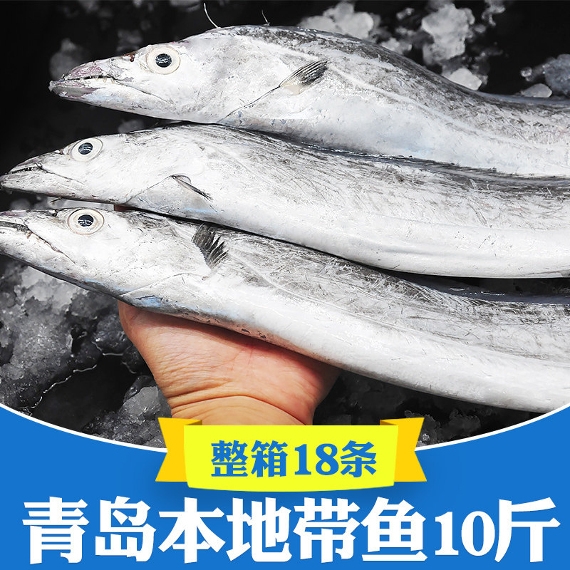 青岛小眼带鱼新鲜冷冻整条整箱10斤鲜活海鲜海鱼黄海刀鱼特大 5