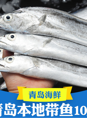 青岛小眼带鱼新鲜冷冻整箱10斤整条特大海鲜雷达网海鱼鲜活刀鱼