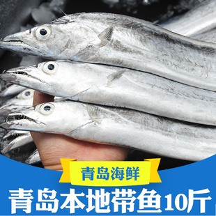 青岛小眼带鱼新鲜冷冻整箱10斤整条特大海鲜雷达网海鱼鲜活刀鱼