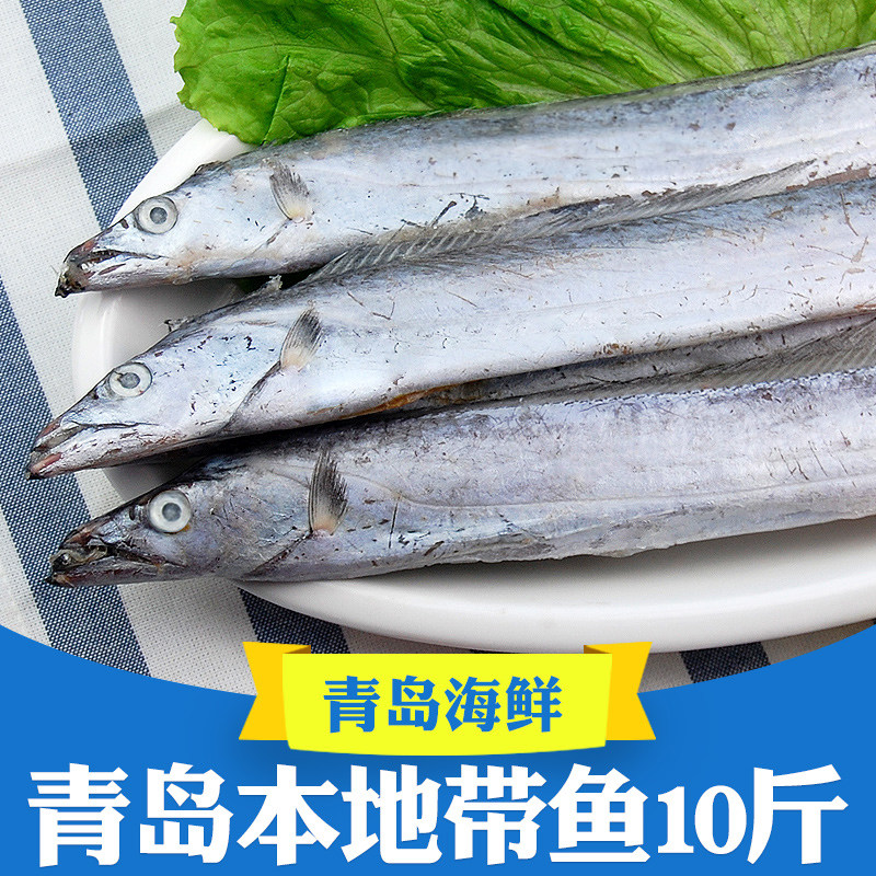 青岛海捕小眼带鱼新鲜冷冻整箱10斤刀鱼整条海鲜黄海特大 油带鱼