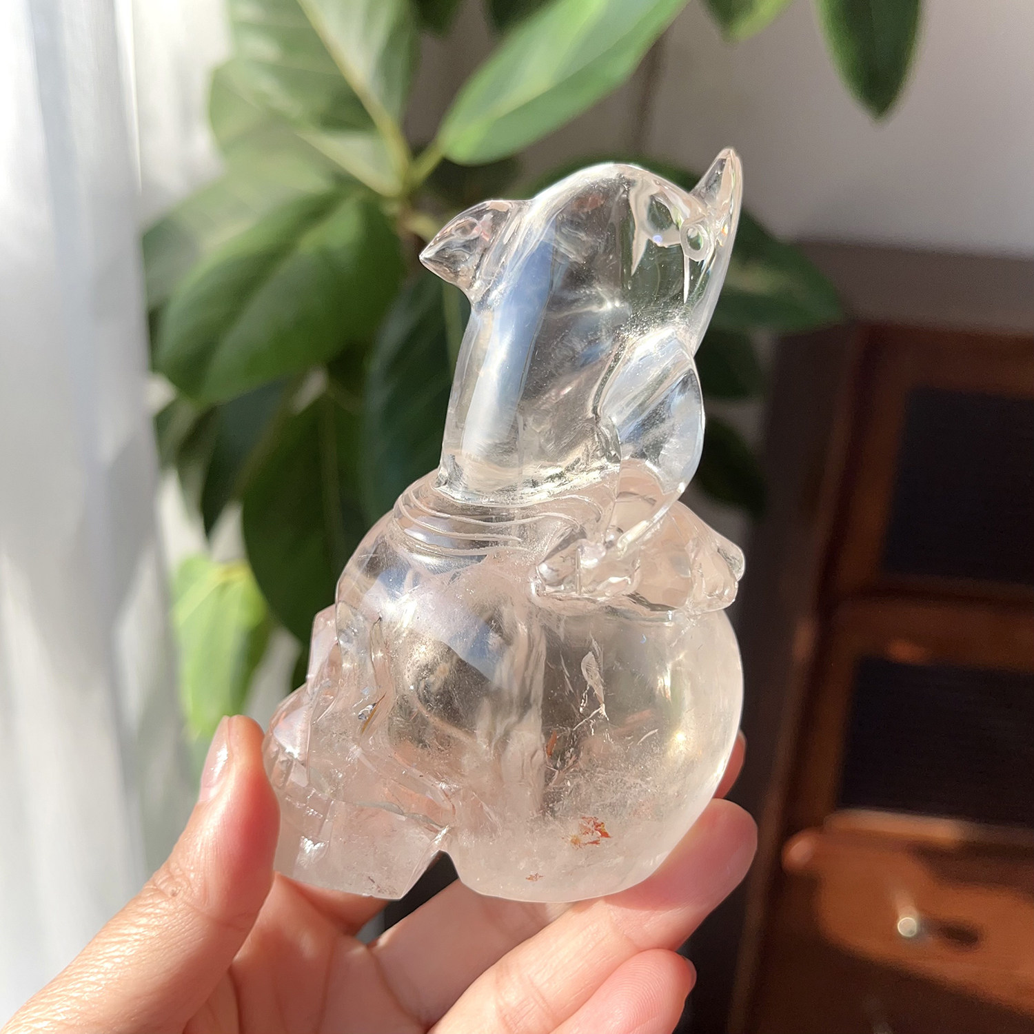 天然茶水晶阿赛彩虹海豚头骨
