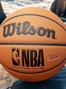 威尔胜篮球官方正品手感之王成人标准7号室内外防滑防尘球2023201