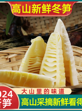 高山火锅笋块嫩竹笋新鲜免切食材冬笋子清水笋春笋商用家用野生