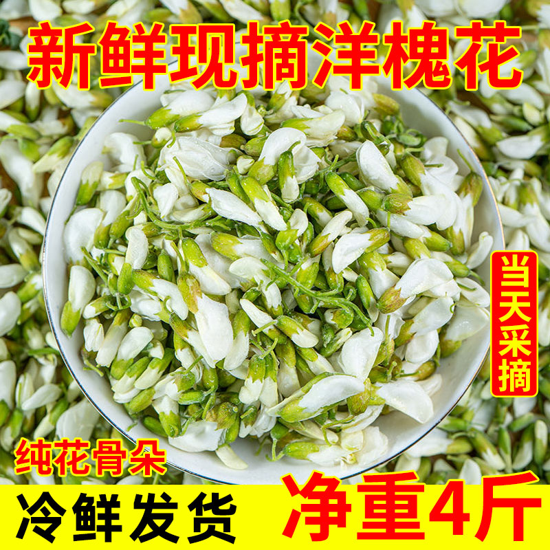 槐花新鲜2024现摘现发洋槐花4斤当季野菜山东刺槐米杨槐花骨朵苞