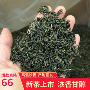 江西茶叶绿茶新茶浓香五指峰高山云雾炒青赣南上犹毛尖春茶250g
