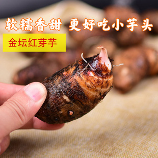 非金坛正宗建昌红香芋新鲜芋艿现挖农家蔬菜大个香芋头常州美食
