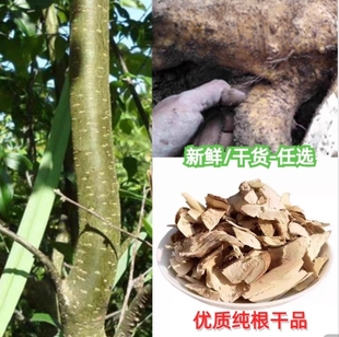 江西野外生岗梅根 纯根 天星木根 秤星树根 干货秤星木500克干品