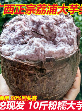 广西荔浦特大芋头新鲜整箱10斤包邮现挖粉香芋头糯艿槟榔紫藤毛芋