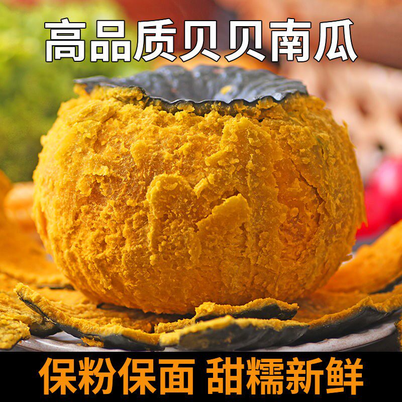 粉糯香甜斤贝贝南瓜板栗味