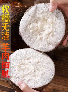 正宗广西荔浦大芋头新鲜香芋头10斤整箱农家当季槟榔芋大芋艿毛芋