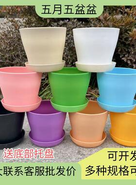 花盆  塑料加厚敞口花盆 绿植多肉盆 透气防烂根彩色花盆 送托盘
