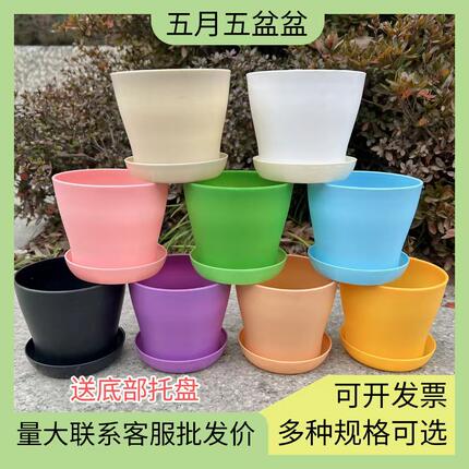 花盆  塑料加厚敞口花盆 绿植多肉盆 透气防烂根彩色花盆 送托盘