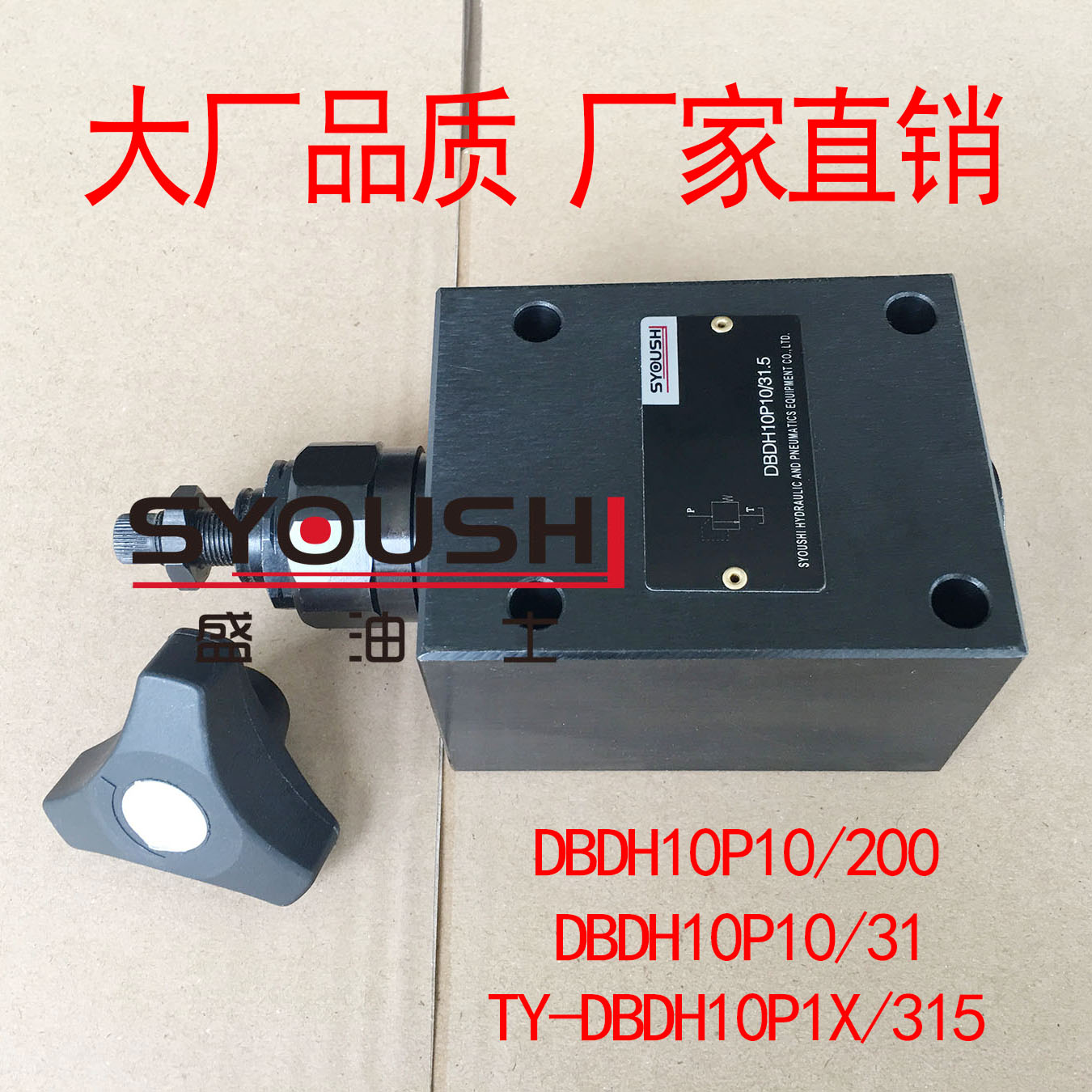 直动式溢流阀DBDH10P10/200,DBDH10P10/31,TY-DBDH10P1X/315现货