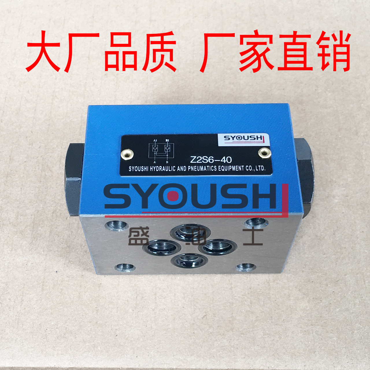 液控单向阀Z2S6/Z2S6A/Z2S6B-40/40B/L4X质保一年优惠