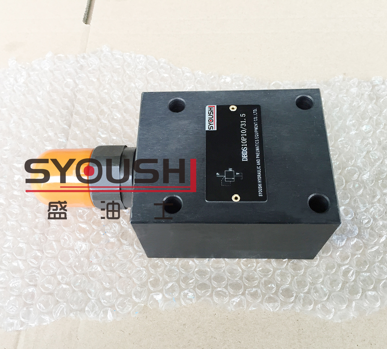 直动式溢流阀DBDH20P,DBDS20P10/2.5/5/10/20/31.5质保一年现货