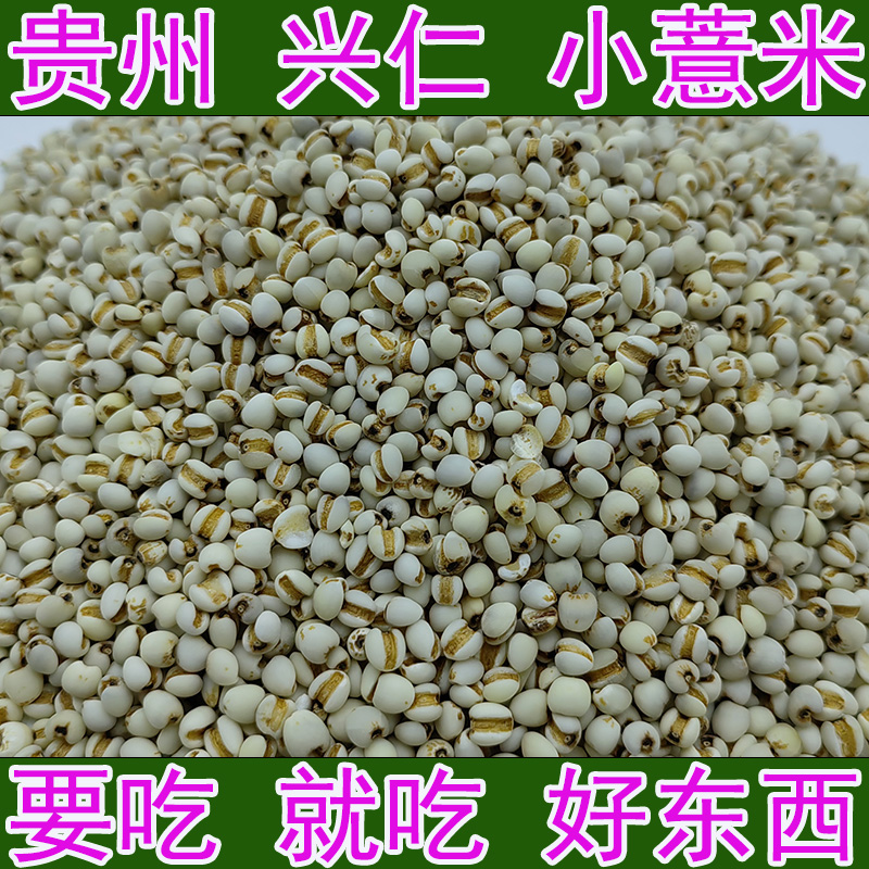 小薏仁米贵州兴仁特产小粒