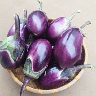新鲜现采本地早茄子特大紫茄子牛心茄子紫色黑茄四季蔬菜