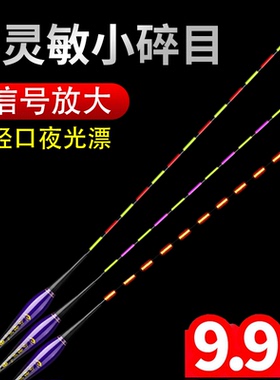 小碎目夜光漂高灵敏咬钩变色轻口滑口浮漂鲫鱼鲤鱼日夜两用电子漂