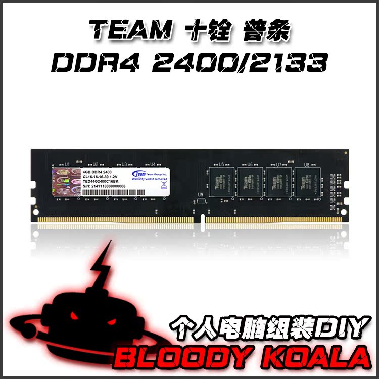 TEAM
