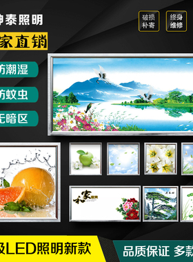 集成吊顶led平板灯厨房卫生间浴室阳台铝扣板嵌入式面板30x30x60