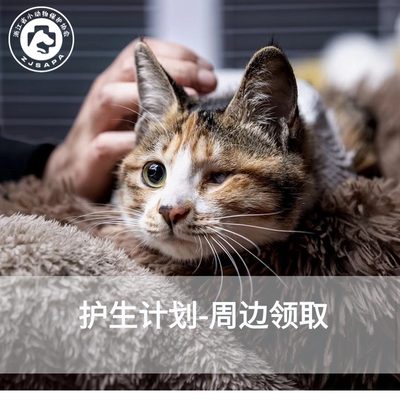 浙江省小动物保护协会-护生计划关爱流浪动物周边明信片