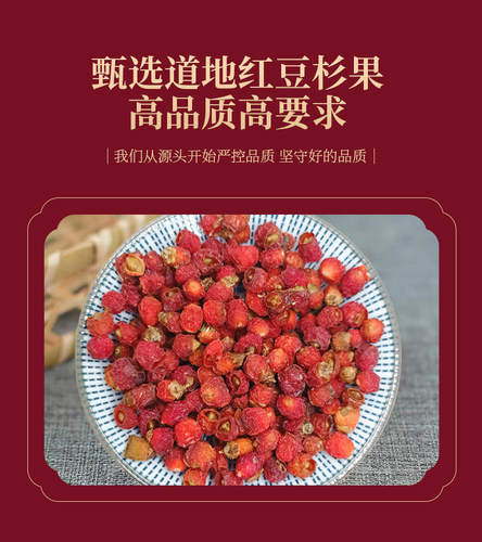 南方红豆杉干果泡茶包邮