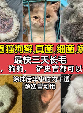 药水黑下巴螨虫真菌感染掉毛猫藓