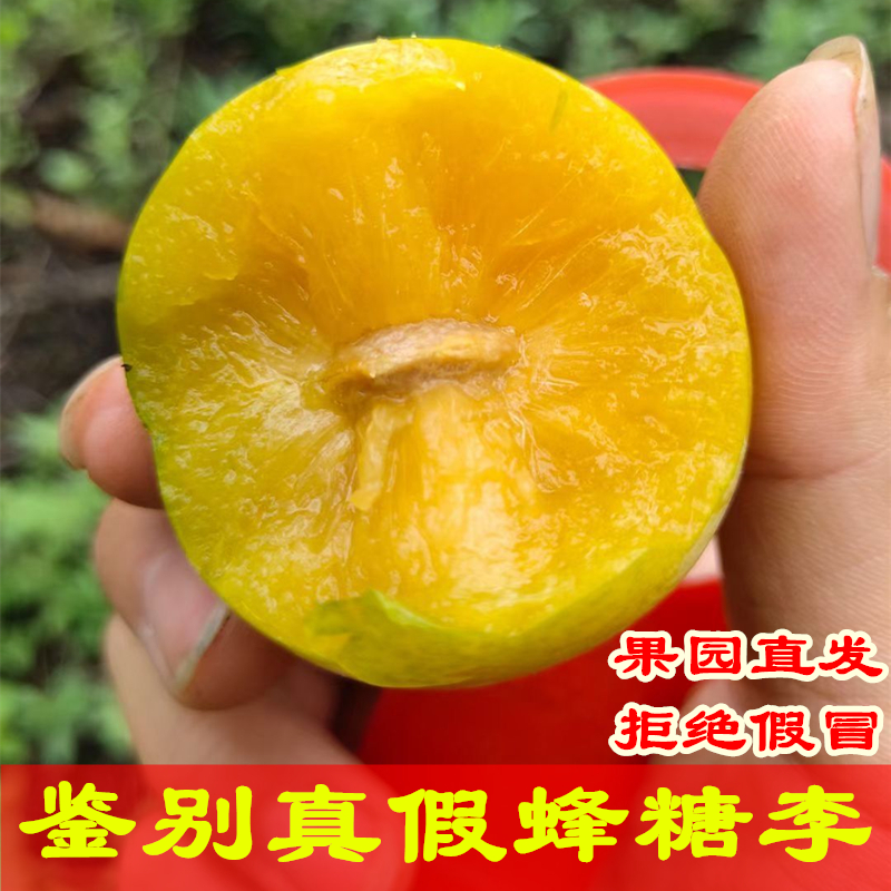 蜂糖李果园直发水果现摘六马李子