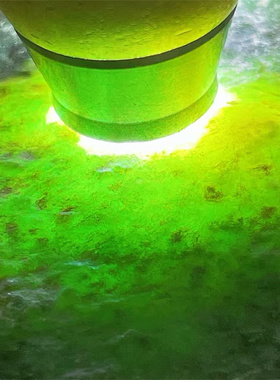 M40138 缅甸天然翡翠原石老坑莫西沙场口手镯料 重4公斤